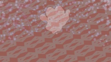 Yaratıcı video düzenleme film arkaplan tasarımı için minimalist organik hareket grafikleri