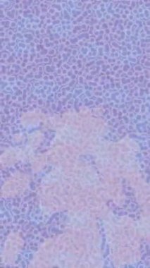 Modern medya üretimi için fütüristik dijital soyut doku sinematik tarz hareketli grafik ögesi