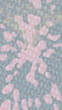 Yaratıcı video düzenleme film arkaplan tasarımı için minimalist organik hareket grafikleri