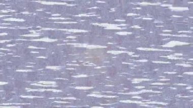 Soyut hareket desenli fütüristik video üretimi için dinamik dijital arkaplan