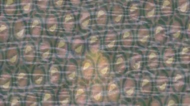 Estetik doku arkaplan tasarımı renkli hareket grafikleri ile moda film giriş profosyoneli