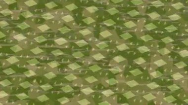 Organik desenli yüzey giriş stili video film sanatı ile soyut arkaplan tasarımı