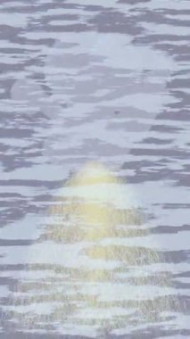 Dijital doku yüzey tasarım biçimi ile modern video animasyonu için gelişmiş hareket grafikleri