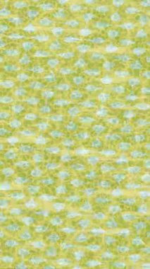 Lüks hareket tasarımı üst düzey video projeleri ve dijital sanat için zarif, pürüzsüz bir dokusu var.