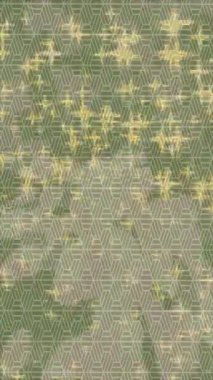 Dijital doku yüzey tasarım biçimi ile modern video animasyonu için gelişmiş hareket grafikleri