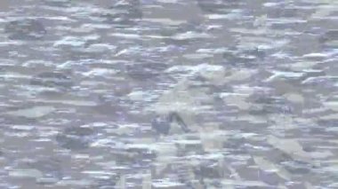 Benzersiz hareket dokusu tasarım sanatı ile profesyonel video düzenleme için modern soyut grafikler