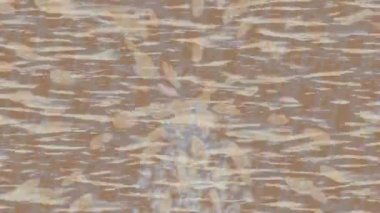 Benzersiz dijital animasyon tarzı grafikleri olan yaratıcı ortam tasarımı için yenilikçi hareket dokusu