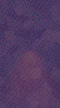 Benzersiz hareket dokusu tasarım sanatı ile profesyonel video düzenleme için modern soyut grafikler