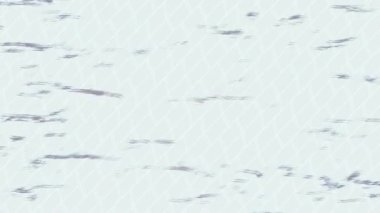 Benzersiz dijital animasyon tarzı grafikleri olan yaratıcı ortam tasarımı için yenilikçi hareket dokusu