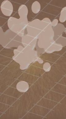 Yaratıcı video düzenleme film arkaplan tasarımı için minimalist organik hareket grafikleri