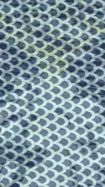 Profesyonel video projeleri sanat tarzı için organik hareketli arkaplan tasarımı