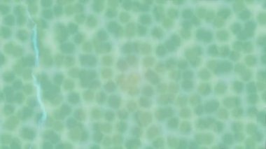 Lüks hareket tasarımı üst düzey video projeleri ve dijital sanat için zarif, pürüzsüz bir dokusu var.