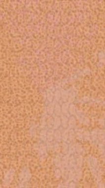 Yaratıcı video düzenleme film arkaplan tasarımı için minimalist organik hareket grafikleri