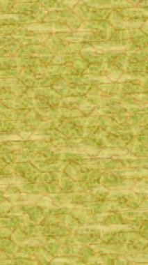 Benzersiz video giriş tasarımı projeleri için detaylı yüzey kalıbı film animasyon stili grafik girişi