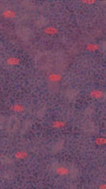 Benzersiz dijital hareket grafiklerine sahip yaratıcı sinematik projeler için yumuşak animasyon yüzeyi