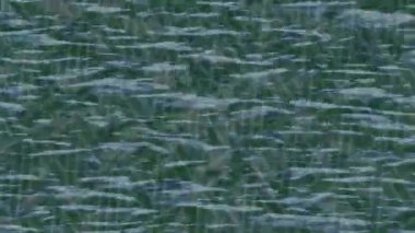 Benzersiz dijital hareket grafiklerine sahip yaratıcı sinematik projeler için yumuşak animasyon yüzeyi