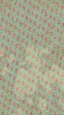 Yaratıcı video düzenleme film arkaplan tasarımı için minimalist organik hareket grafikleri