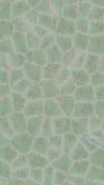 Benzersiz dijital hareket grafiklerine sahip yaratıcı sinematik projeler için yumuşak animasyon yüzeyi