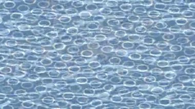 Soyut hareket desenli fütüristik video üretimi için dinamik dijital arkaplan