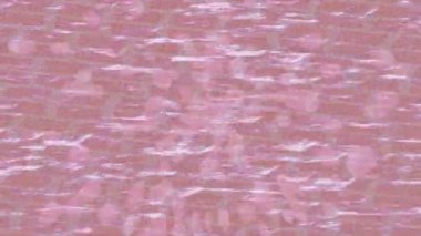 Benzersiz dijital animasyon tarzı grafikleri olan yaratıcı ortam tasarımı için yenilikçi hareket dokusu