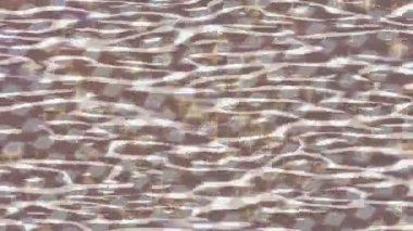 Benzersiz dijital animasyon tarzı grafikleri olan yaratıcı ortam tasarımı için yenilikçi hareket dokusu