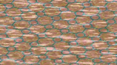 Dijital doku yüzey tasarım biçimi ile modern video animasyonu için gelişmiş hareket grafikleri