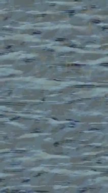 Organik desenli yüzey giriş stili video film sanatı ile soyut arkaplan tasarımı