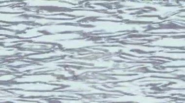 Benzersiz dijital hareket grafiklerine sahip yaratıcı sinematik projeler için yumuşak animasyon yüzeyi