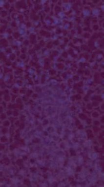 Profesyonel video projeleri sanat tarzı için organik hareketli arkaplan tasarımı