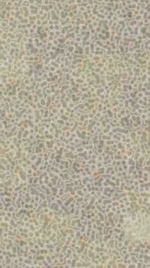 Profesyonel video projeleri sanat tarzı için organik hareketli arkaplan tasarımı