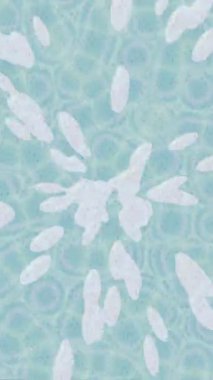 Yaratıcı video düzenleme film tasarımı için benzersiz hareket grafikleri biçimi giriş hareketi video pro