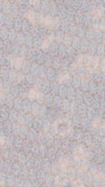 Benzersiz dijital animasyon tarzı grafikleri olan yaratıcı ortam tasarımı için yenilikçi hareket dokusu