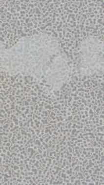 Benzersiz hareket grafikleri tasarım sanatına sahip yaratıcı film üretimi için özet bir arkaplan