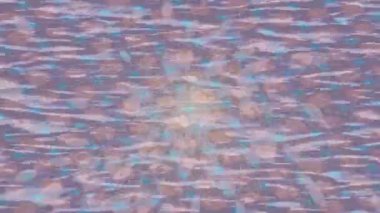 Yaratıcı video düzenleme film arkaplan tasarımı için minimalist organik hareket grafikleri