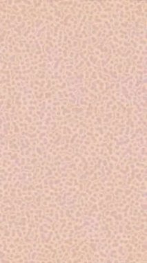 Lüks hareket tasarımı üst düzey video projeleri ve dijital sanat için zarif, pürüzsüz bir dokusu var.