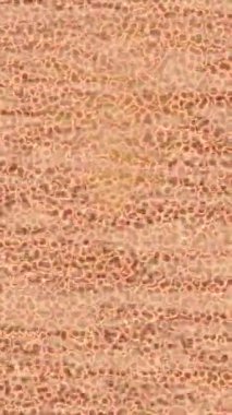 Soyut hareket desenli fütüristik video üretimi için dinamik dijital arkaplan