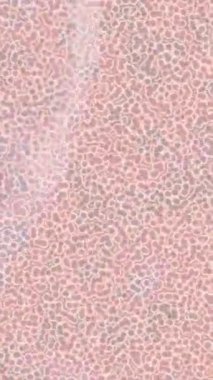 Benzersiz hareket grafikleri tasarım sanatına sahip yaratıcı film üretimi için özet bir arkaplan