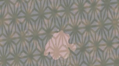 Lüks hareket tasarımı üst düzey video projeleri ve dijital sanat için zarif, pürüzsüz bir dokusu var.