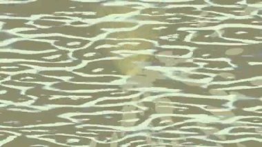 Lüks hareket projeleri için soyut tasarım stili animasyonu olan üst düzey dijital doku