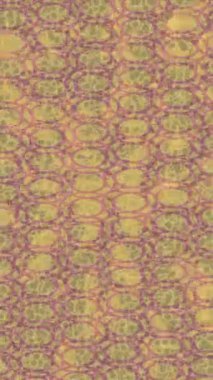 Profesyonel video projeleri sanat tarzı için organik hareketli arkaplan tasarımı