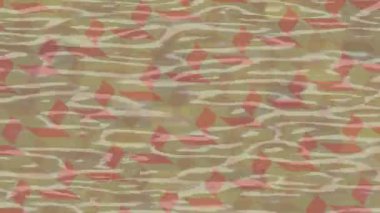 Benzersiz dijital hareket grafiklerine sahip yaratıcı sinematik projeler için yumuşak animasyon yüzeyi