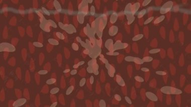 Lüks hareket tasarımı üst düzey video projeleri ve dijital sanat için zarif, pürüzsüz bir dokusu var.