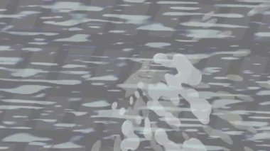 Benzersiz dijital hareket grafiklerine sahip yaratıcı sinematik projeler için yumuşak animasyon yüzeyi