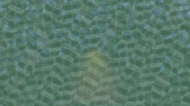 Dijital doku yüzey tasarım biçimi ile modern video animasyonu için gelişmiş hareket grafikleri