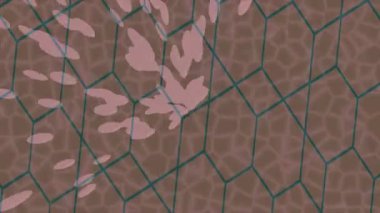 Benzersiz dijital hareket grafiklerine sahip yaratıcı sinematik projeler için yumuşak animasyon yüzeyi