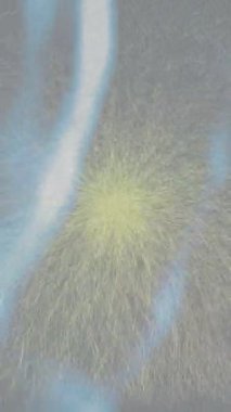 Benzersiz dijital animasyon tarzı grafikleri olan yaratıcı ortam tasarımı için yenilikçi hareket dokusu