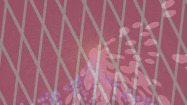 Benzersiz dijital hareket grafiklerine sahip yaratıcı sinematik projeler için yumuşak animasyon yüzeyi