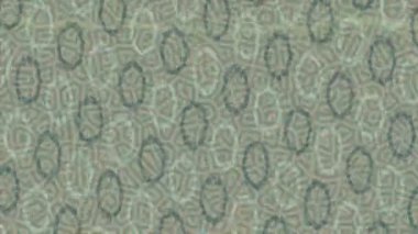 Benzersiz hareket dokusu tasarım sanatı ile profesyonel video düzenleme için modern soyut grafikler