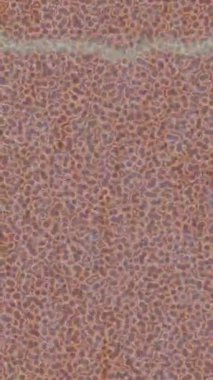 Benzersiz hareket dokusu tasarım sanatı ile profesyonel video düzenleme için modern soyut grafikler