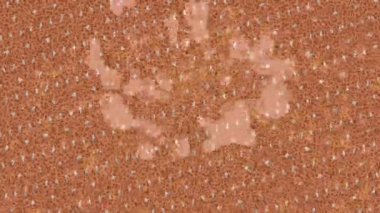 Yaratıcı video düzenleme film arkaplan tasarımı için minimalist organik hareket grafikleri